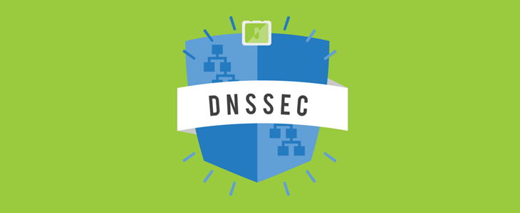 What is DNSSEC and How is it crucial?