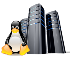 Linux Hosting
